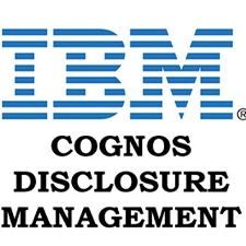 IBM Portfolio 3 Delbridge solutions IBM Congnos management