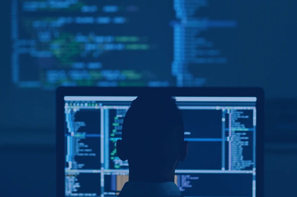 Delbridge Data API 3 website images blue 26